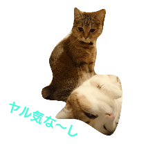 [LINEスタンプ] mi＆ku