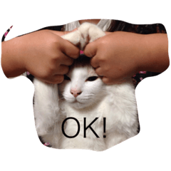 [LINEスタンプ] ねこ フレンド