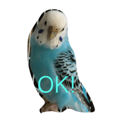 [LINEスタンプ] ポロンスタンプ
