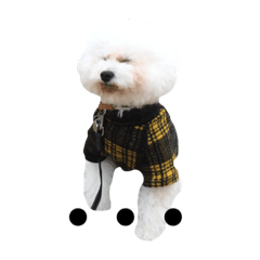 [LINEスタンプ] 中村さん家のライムくん