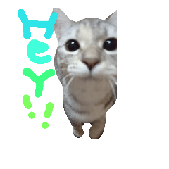 [LINEスタンプ] まるとひめの日常スタンプ
