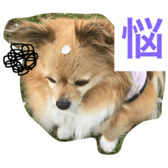 [LINEスタンプ] さくらのスタンプ 2