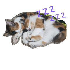 [LINEスタンプ] きなことあられ