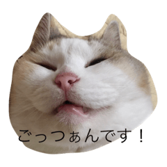 [LINEスタンプ] どすこいのひとり言