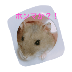 [LINEスタンプ] ネズミのまんたろう