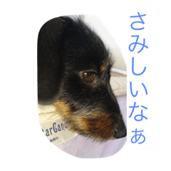 [LINEスタンプ] はる0718