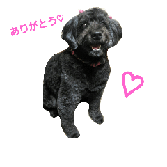 [LINEスタンプ] 我が家の愛犬☆