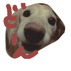 [LINEスタンプ] dachshund   cream