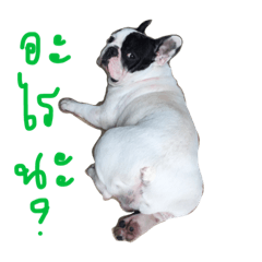 [LINEスタンプ] chuenjaixioun