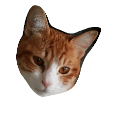 [LINEスタンプ] にゃん cats