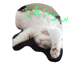 [LINEスタンプ] RiRii