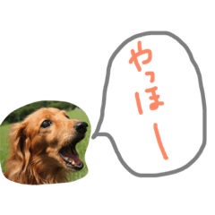 [LINEスタンプ] ちゅらです