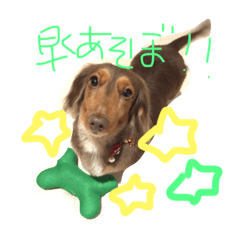 [LINEスタンプ] もんスタンプ