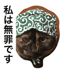 [LINEスタンプ] はなゆめ日和