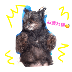 [LINEスタンプ] ライフスタイルlove1