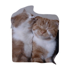 [LINEスタンプ] クゥニャンリクニャン