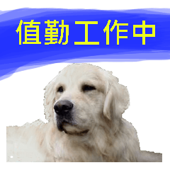 [LINEスタンプ] Cute puppy ,Cute puppy