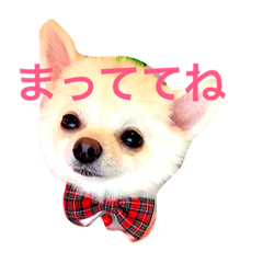 [LINEスタンプ] いやしのまりあ