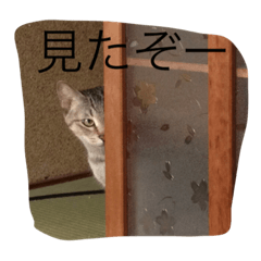 [LINEスタンプ] 自分が使いたいスタンプ作りました