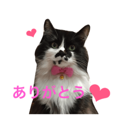 [LINEスタンプ] もふ！おはぎちゃん