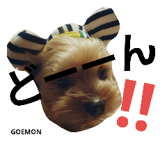 [LINEスタンプ] ごえもん君2