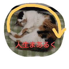 [LINEスタンプ] 愉快な動物達(関西ver.)