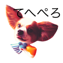 [LINEスタンプ] わんこ兄弟♡ルネ＆ロッタ2