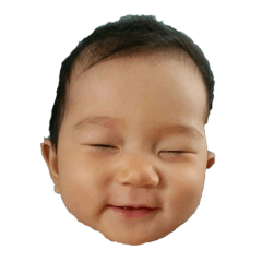 [LINEスタンプ] I'm PANISARA