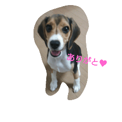 [LINEスタンプ] ラッキーちゃん2