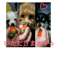 [LINEスタンプ] キキ☆ララ☆もも