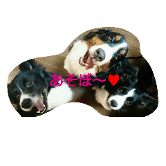 [LINEスタンプ] 可愛い犬達