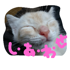 [LINEスタンプ] loverysora