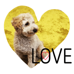 [LINEスタンプ] LOVEトイプー♡