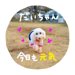 [LINEスタンプ] だいこちゃん感謝スタンプ