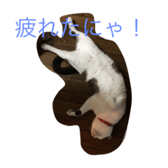 [LINEスタンプ] そらのきまぐれ