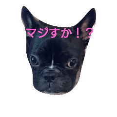 [LINEスタンプ] gorori 1