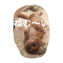 [LINEスタンプ] にゃん太の日々