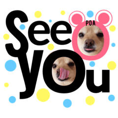 [LINEスタンプ] ポメポアスタンプ