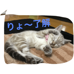 [LINEスタンプ] Sakuranyann