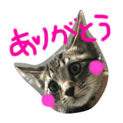 [LINEスタンプ] シエルとアロイス1