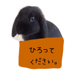 [LINEスタンプ] おりぃスタンプ