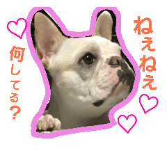 [LINEスタンプ] ぶちゃいくひめのスタンプ2