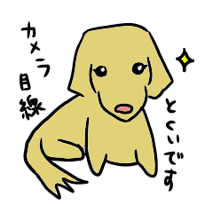 [LINEスタンプ] ミニチュアダックス・ノエルの日常