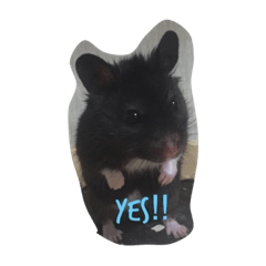 [LINEスタンプ] animal-s.s70-2