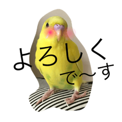 [LINEスタンプ] 佐藤家のペット様