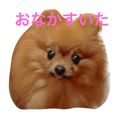 [LINEスタンプ] I am a choco