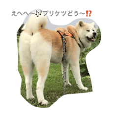 [LINEスタンプ] プリティーな毎日