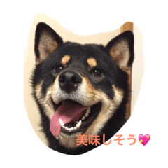 [LINEスタンプ] 俊太の気持ち