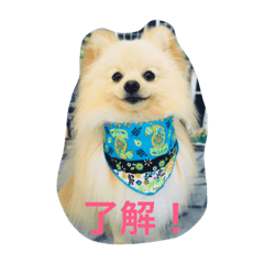 [LINEスタンプ] まふあんどそら