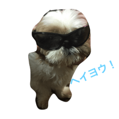 [LINEスタンプ] gu and bo